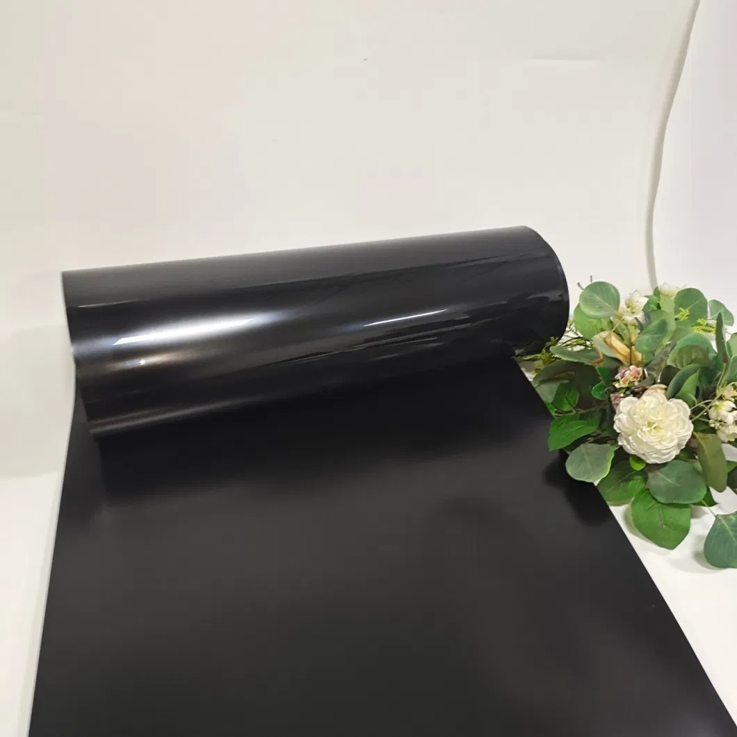 0.2mm PA/PE Vacuum Thermoforming Bottom Film for Automatic Ffs Machines